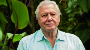 david_attenborough_tcm9-345814